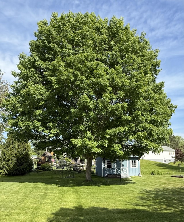 96 Rideout Ave, Lewiston, ME 04240 - view of green lawn