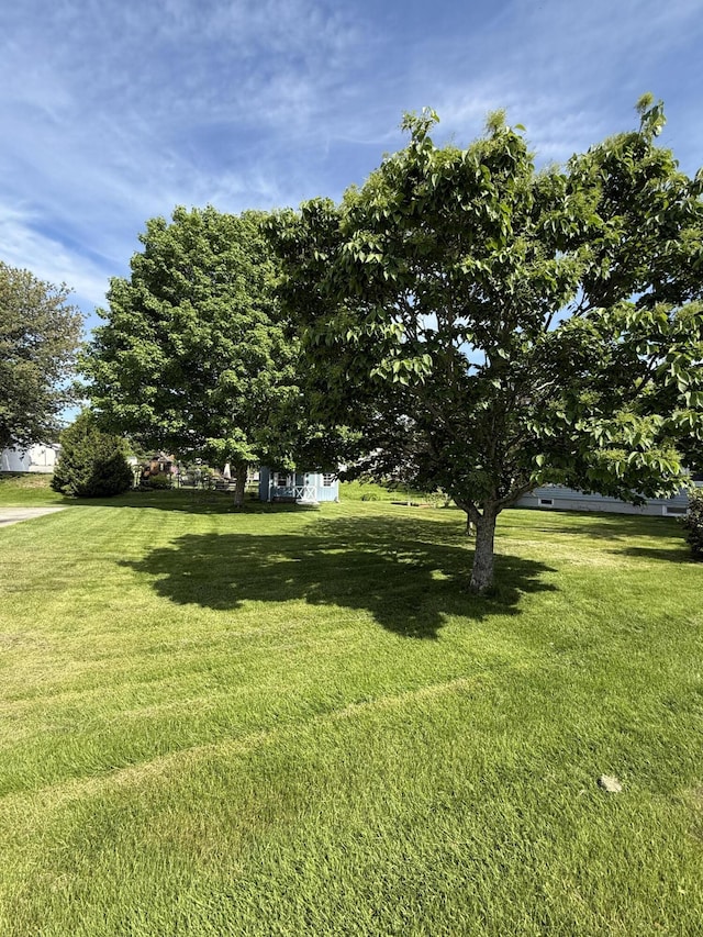 96 Rideout Ave, Lewiston, ME 04240 - view of grassy yard