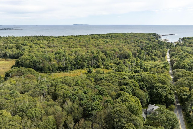 507 State Route 32nd Rte, Bristol, ME 04554 - aerial overview of property's location featuring a forest and a nearby body of water