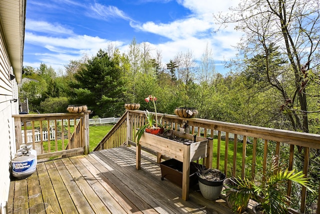 25 Ireland Dr, Berwick, ME 03901 - view of wooden terrace