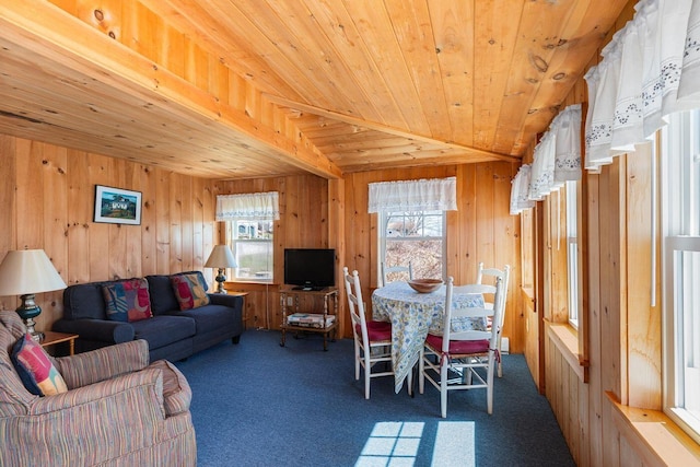 147 State Route 32, Bristol, ME 04554 - living room with wooden ceiling, carpet, and wooden walls