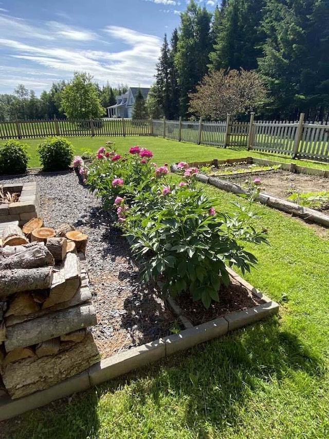 60 St John Rd, Fort Kent, ME 04743 - view of yard featuring a garden