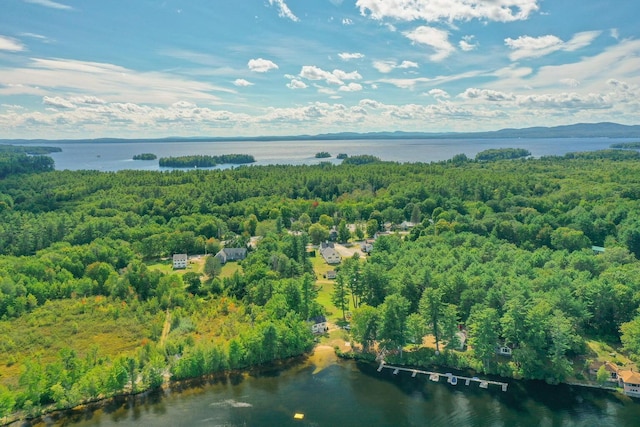19 Pond View Way, Casco, ME 04015 - bird's eye view of a large body of water and a heavily wooded area