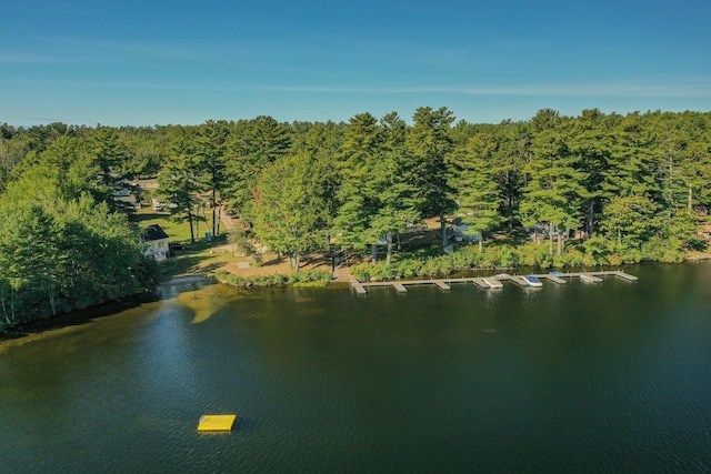 19 Pond View Way, Casco, ME 04015 - water view featuring a heavily wooded area