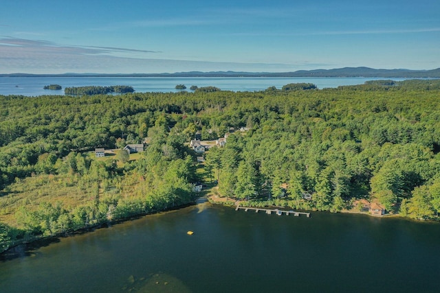 19 Pond View Way, Casco, ME 04015 - view of property location featuring a heavily wooded area and a water and mountain view