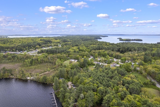 19 Pond View Way, Casco, ME 04015 - aerial view of a forest and a large body of water