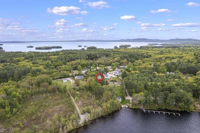 19 Pond View Way, Casco, ME 04015 - view of property location with a nearby body of water and a forest