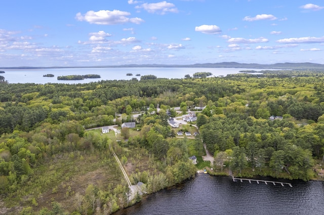 19 Pond View Way, Casco, ME 04015 - drone / aerial view of a large body of water and a heavily wooded area
