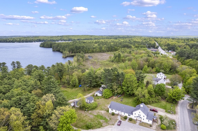 19 Pond View Way, Casco, ME 04015 - aerial overview of property's location featuring a forest and a large body of water