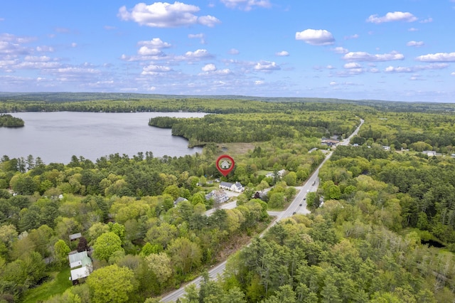 19 Pond View Way, Casco, ME 04015 - aerial view of a forest and a nearby body of water