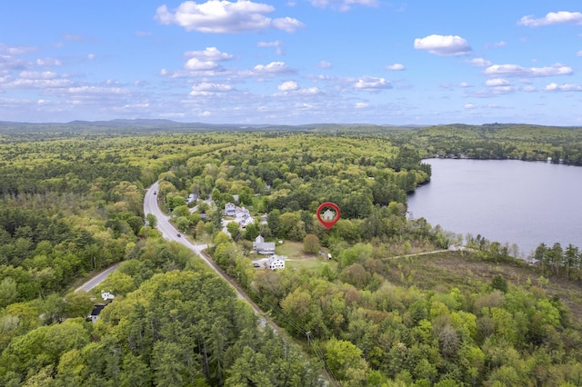 19 Pond View Way, Casco, ME 04015 - drone / aerial view of a forest and a large body of water
