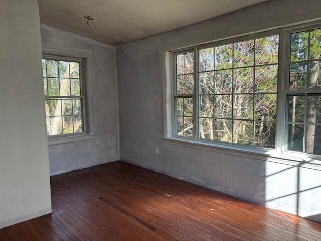 unfurnished room with wood-type flooring