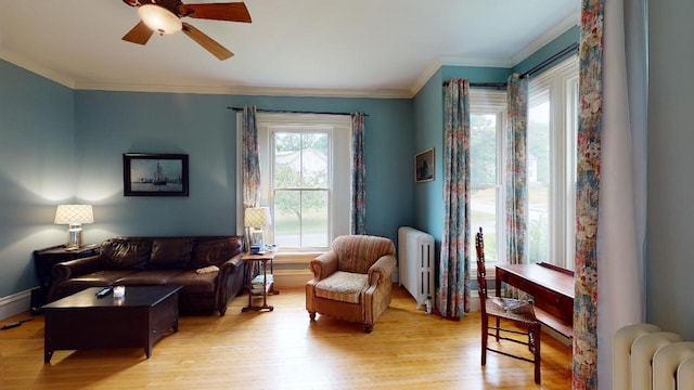 living area featuring radiator heating unit, a ceiling fan, and light wood-style flooring