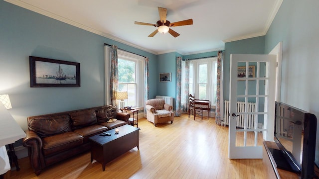 living area featuring ornamental molding, ceiling fan, light wood finished floors, and radiator