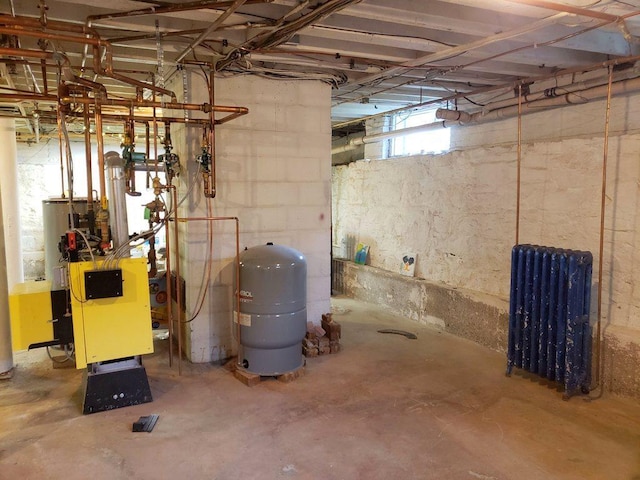 basement with radiator
