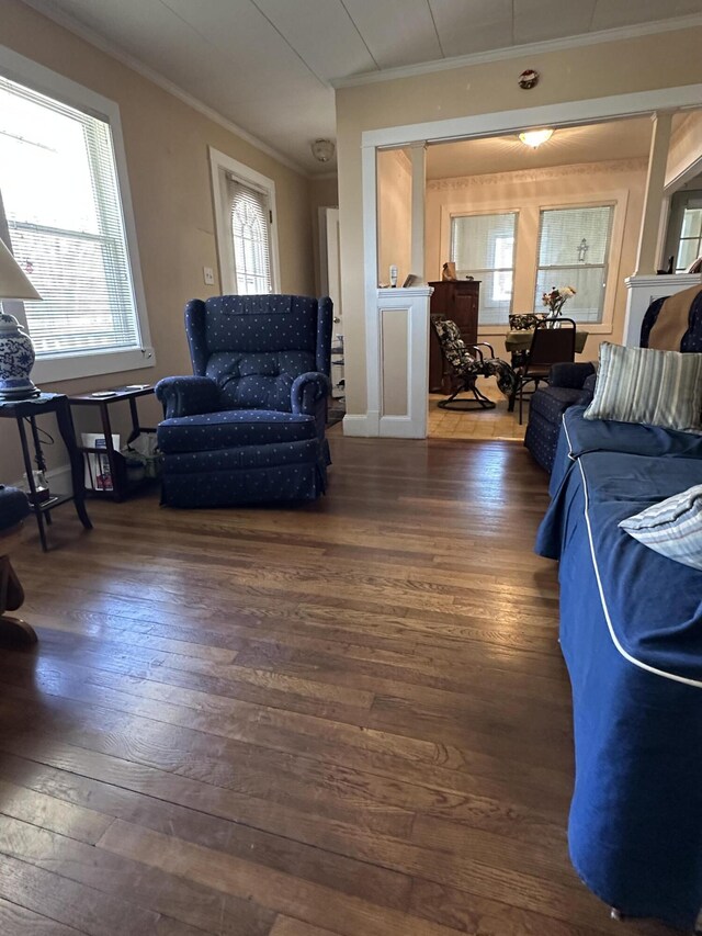 living area featuring crown molding and hardwood / wood-style floors