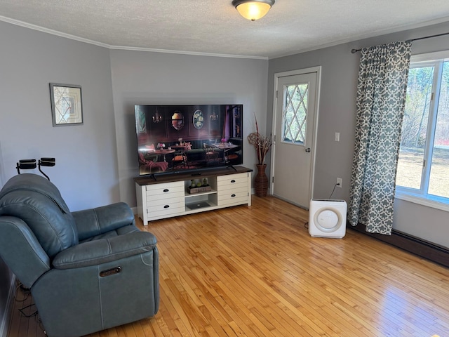 living area with ornamental molding, light wood finished floors, and a textured ceiling