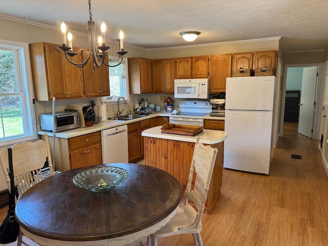 kitchen featuring light countertops, light wood finished floors, a sink, and white appliances