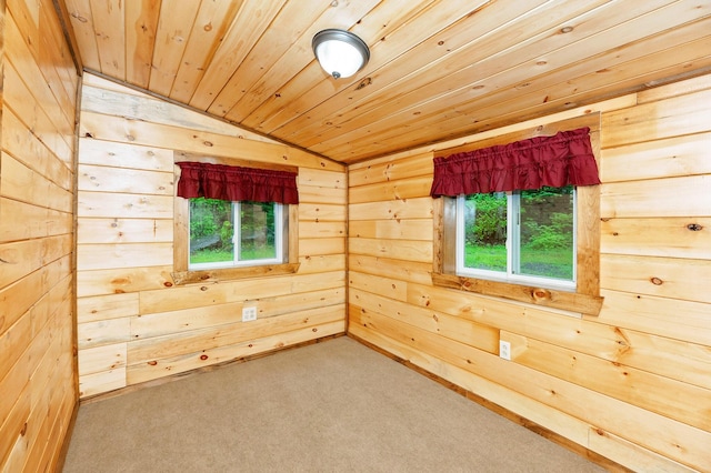 empty room featuring wood walls, a healthy amount of sunlight, and wood ceiling