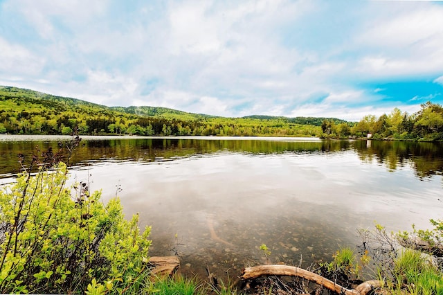 property view of water featuring a wooded view