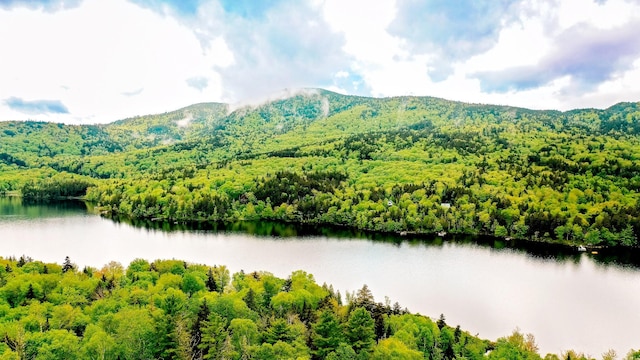 property view of water with a view of trees and a mountain view