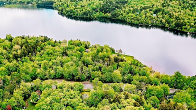 aerial view with a water view and a view of trees
