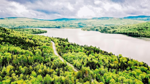 birds eye view of property with a water and mountain view and a forest view