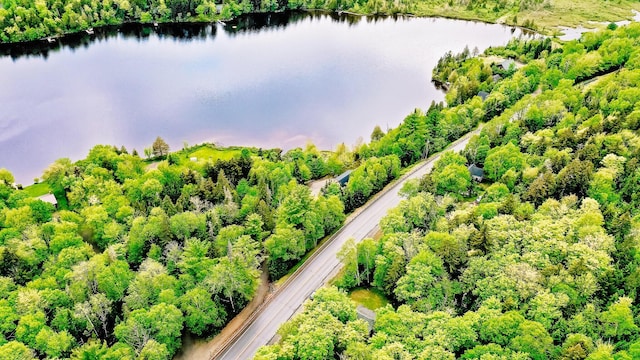 drone / aerial view featuring a water view and a forest view