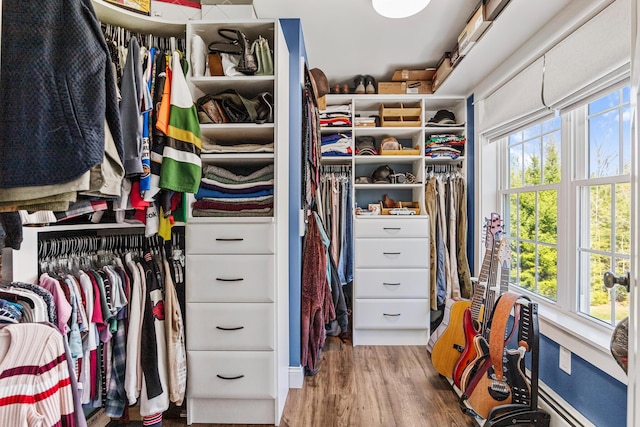 35 Graystone Dr, Hampden, ME 04444 - walk in closet with wood finished floors