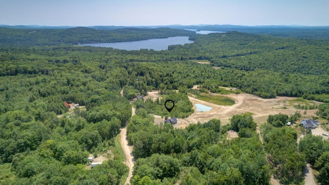104 Hamlin Rd, Waterford, ME 04088 - aerial view with a water view and a forest view
