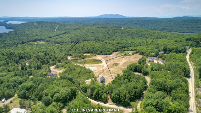 104 Hamlin Rd, Waterford, ME 04088 - bird's eye view featuring a wooded view and a water and mountain view
