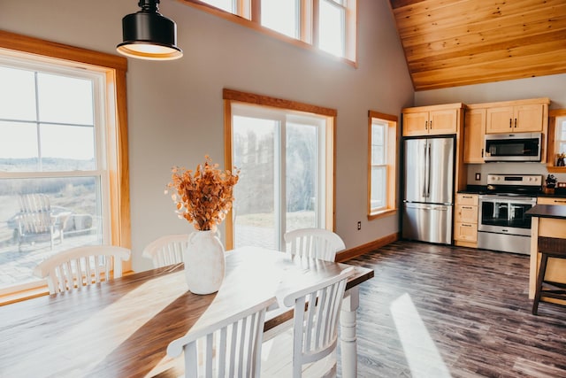 104 Hamlin Rd, Waterford, ME 04088 - kitchen with dark wood-style flooring, light brown cabinets, dark countertops, high vaulted ceiling, and stainless steel appliances