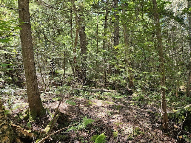 M7L11-7B Loon Club Rd, Monson, ME 04464