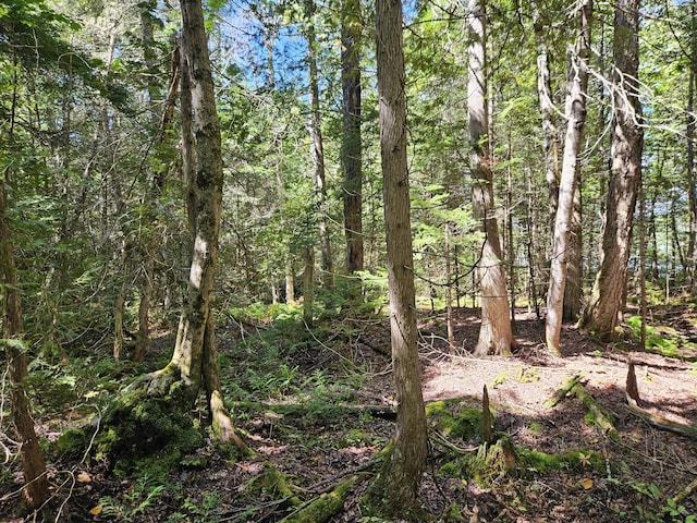 M7L11-7B Loon Club Rd, Monson, ME 04464