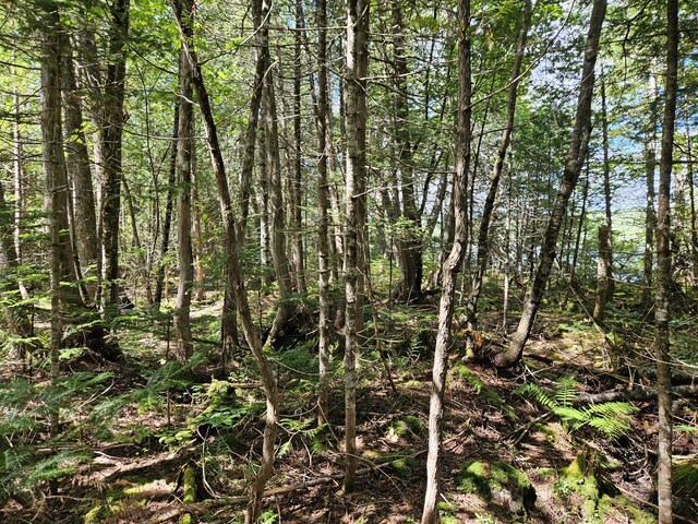 M7L11-7B Loon Club Rd, Monson, ME 04464