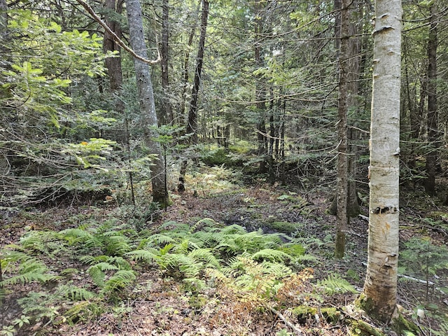 M7L11-7B Loon Club Rd, Monson, ME 04464