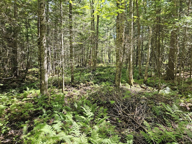 M7L11-7B Loon Club Rd, Monson, ME 04464