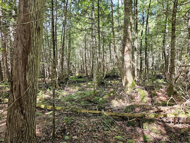 M7L11-7B Loon Club Rd, Monson, ME 04464