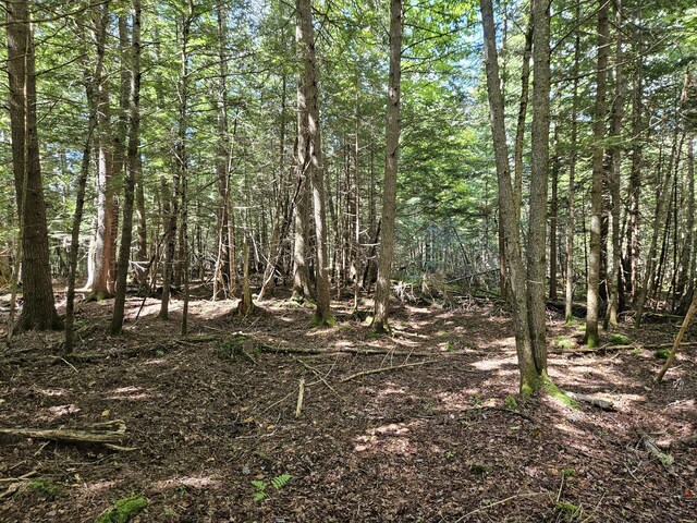 M7L11-7B Loon Club Rd, Monson, ME 04464