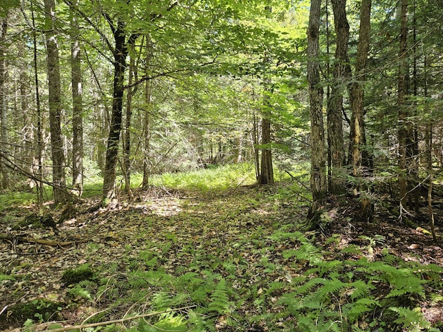M7L11-7B Loon Club Rd, Monson, ME 04464