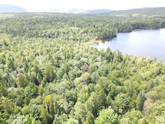 M7L11-7B Loon Club Rd, Monson, ME 04464
