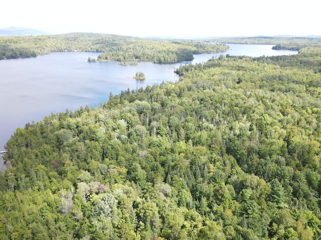 M7L11-7B Loon Club Rd, Monson, ME 04464
