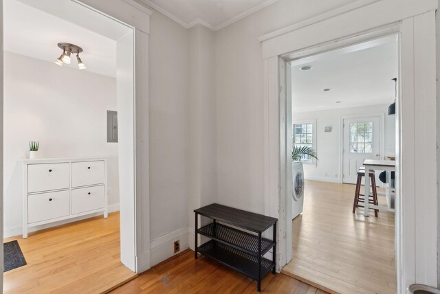 11 Linden St, Bath, ME 04530 - corridor with washer / dryer, crown molding, electric panel, and wood finished floors