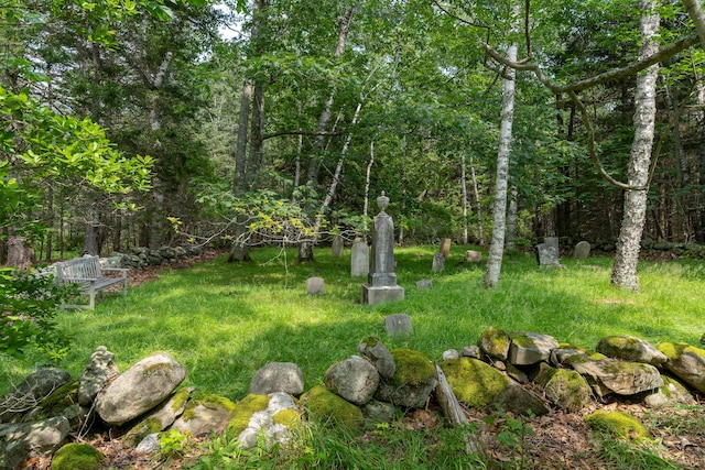 651 N Shore Rd, North Haven, ME 04853 - view of yard