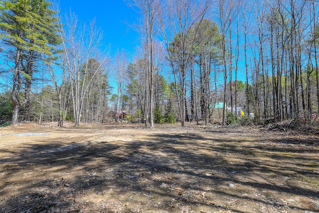 32 Rockwood Dr, Harrison, ME 04040 - view of nature