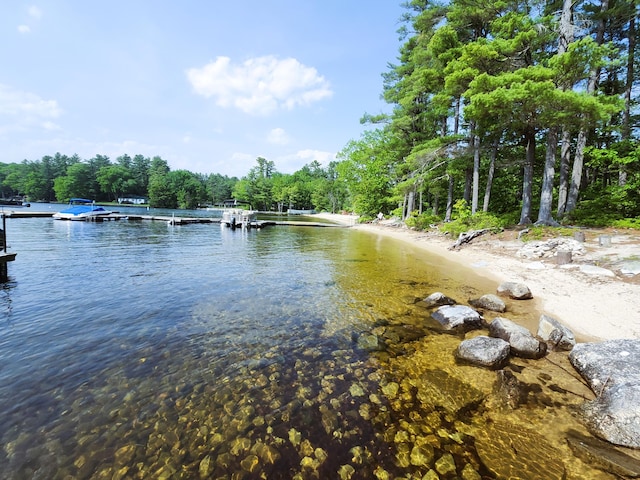 56 Hydrangea Cir Unit 10, Naples, ME 04055 - water view with a dock and a forest