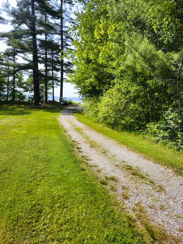 56 Hydrangea Cir Unit 10, Naples, ME 04055 - view of dirt / gravel road
