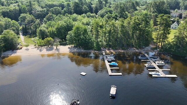 56 Hydrangea Cir Unit 10, Naples, ME 04055 - aerial view of a nearby body of water