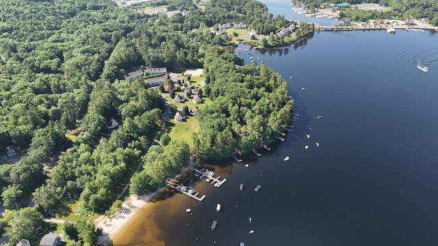 56 Hydrangea Cir Unit 10, Naples, ME 04055 - view of property location featuring a nearby body of water