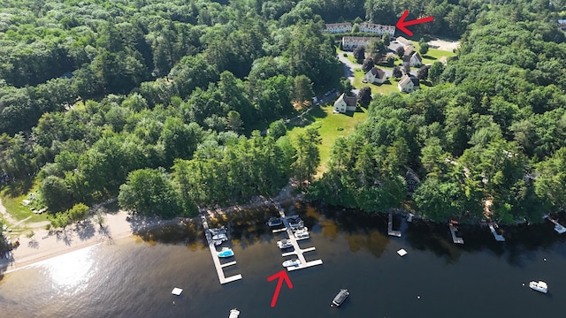 56 Hydrangea Cir Unit 10, Naples, ME 04055 - aerial view of property and surrounding area featuring a large body of water